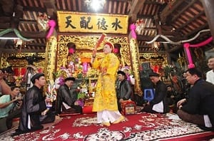 thau-mau-tam-phu