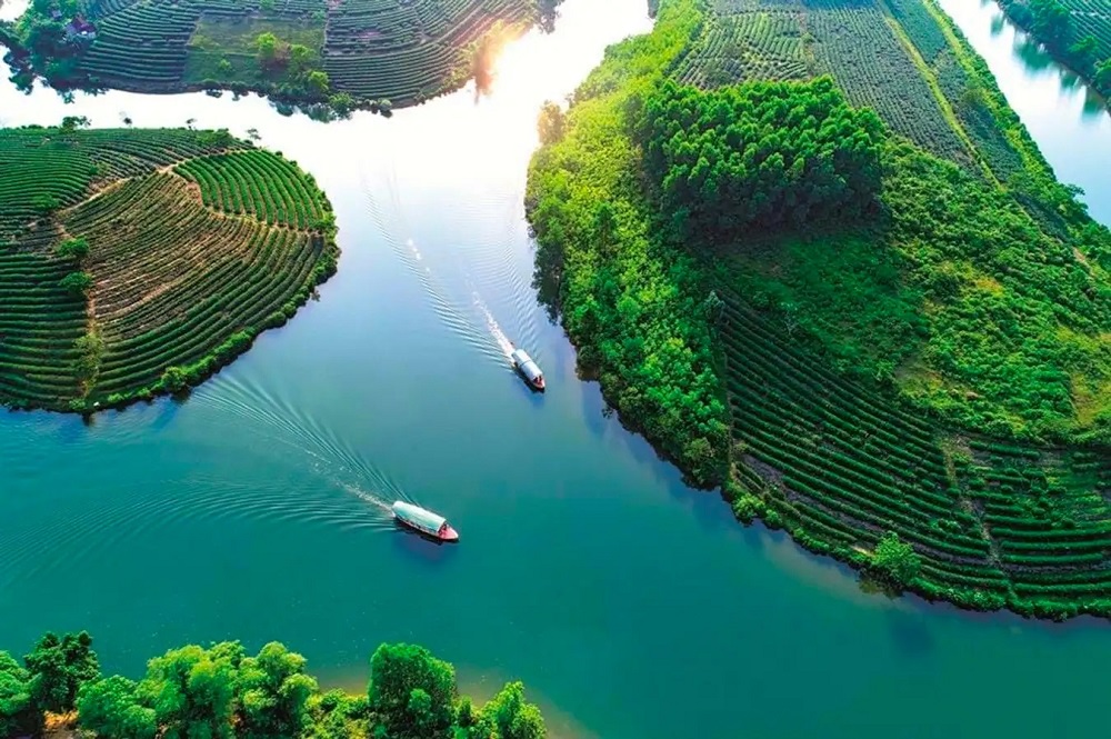 ou-voir-la-plantation-du-the-vert-au-vietnam