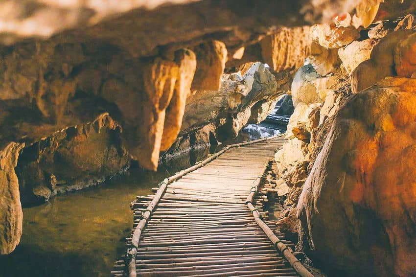 parc-ornithologique-de-thung-nham-un-tresor-cache-de-ninh-binh