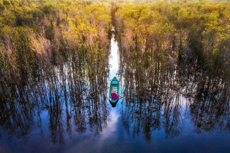parc-national-de-tram-chim-un-sanctuaire-pour-les-amoureux-de-la-nature-a-dong-thap
