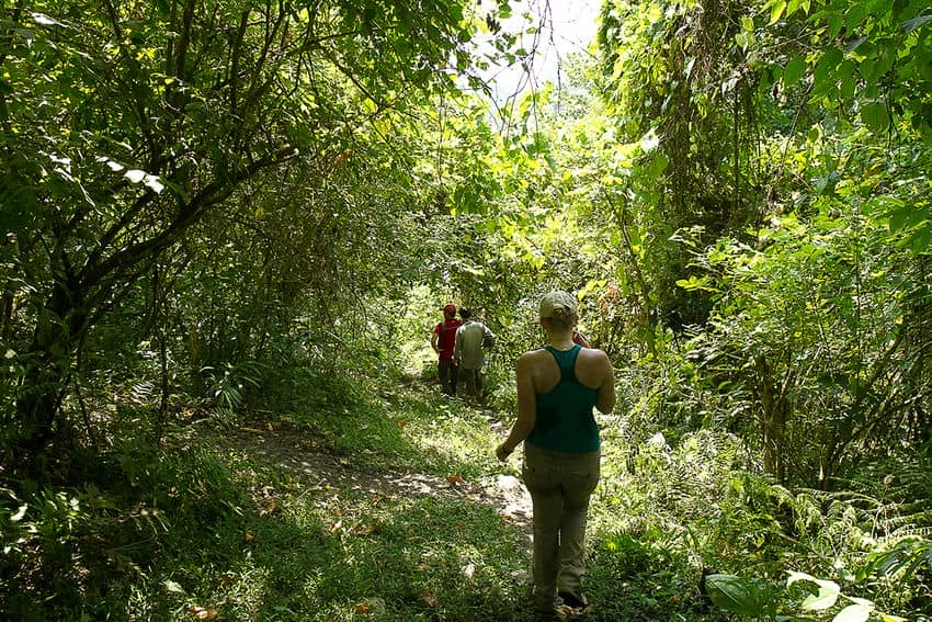 top-15-meilleures-destinations-pour-faire-du-trek-au-vietnam
