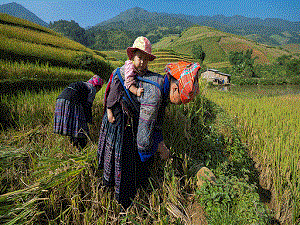 trek_hoang-su-phi