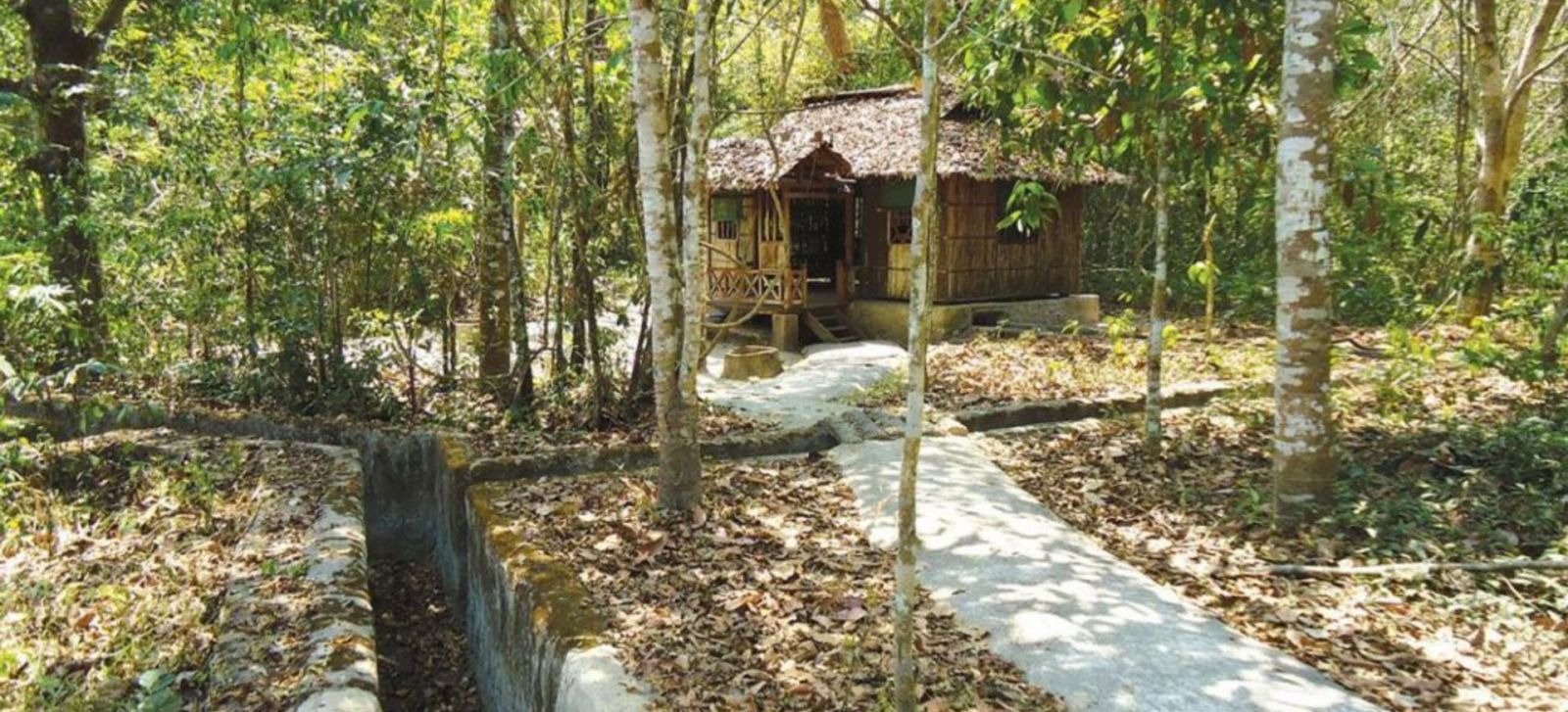 meilleure-excursion-aux-tunnels-de-cu-chi-depuis-ho-chi-minh-ville