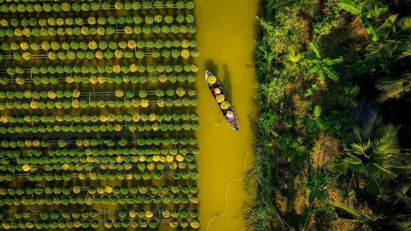 que-faire-dans-le-sud-du-vietnam-en-7-jours