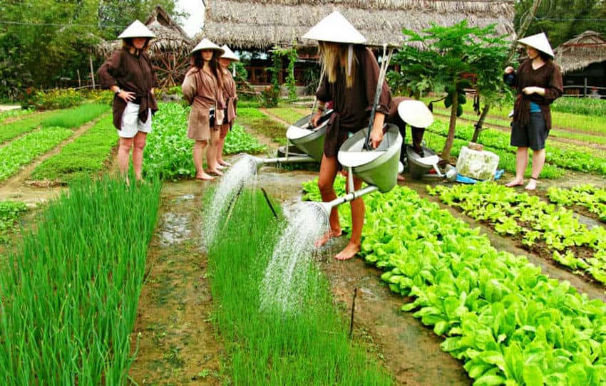 top-10-choses-a-faire-a-hoi-an-vietnam-guide-complet