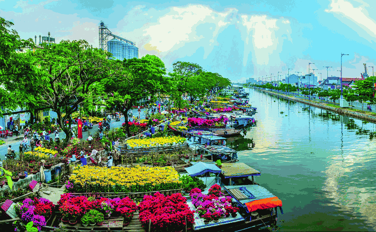 ou-partir-au-vietnam-en-fevrier