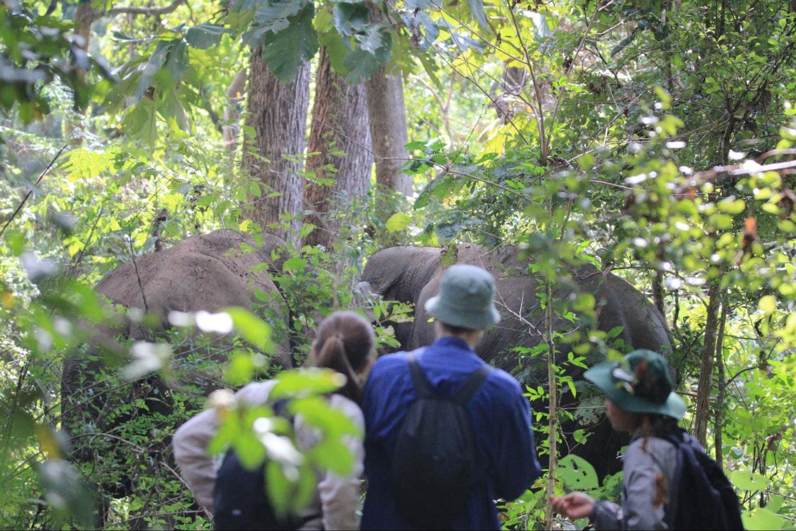top-10-meilleurs-endroits-pour-faire-du-camping-au-vietnam