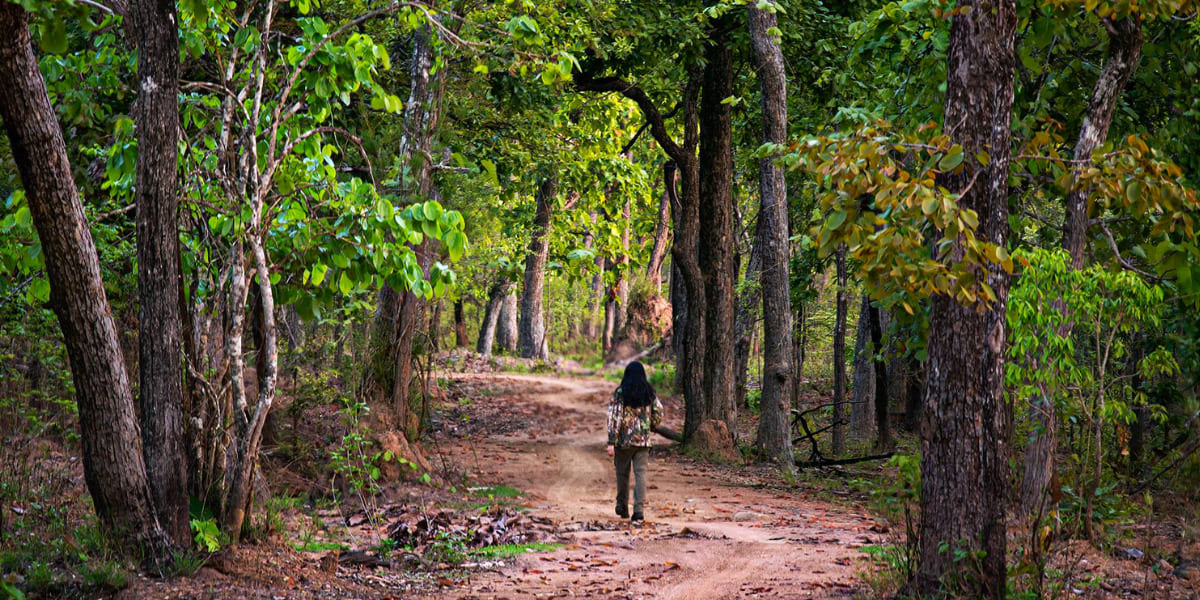 parc-national-de-yok-don-a-dak-lak-vietnam
