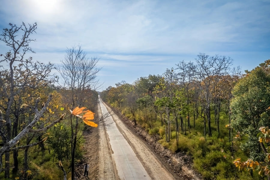 parc-national-de-yok-don-a-dak-lak-vietnam