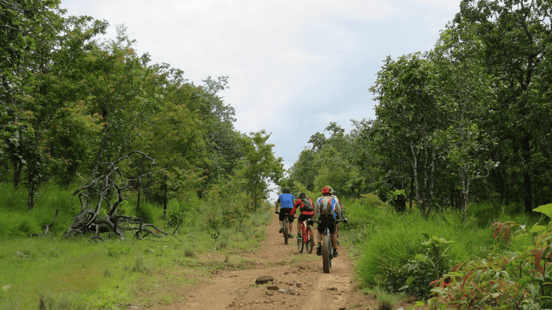 parc-national-de-yok-don-a-dak-lak-vietnam
